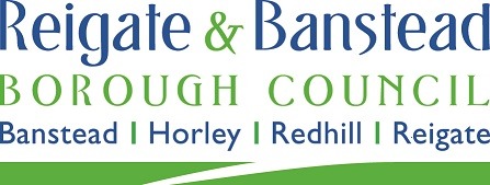 partylogo